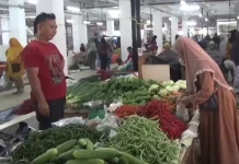 Harga Cabai di Arma Makmur Turun