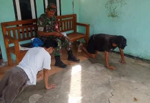 Pelaku Curat Diamankan Anggota Kodim Kota Bengkulu