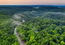 Hutan Kalimantan Penopang Nafas Kehidupan