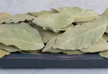 Manfaat Daun Salam untuk Kesehatan