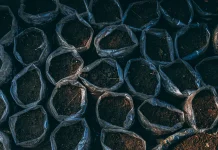 Pupuk Tanaman dari Kotoran Ayam