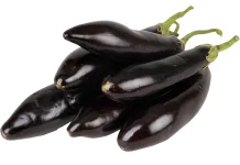 Tanaman yang cocok Ditanam pada Musim Kemarau