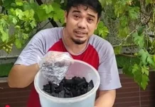 15 Manfaat Arang Hitam bagi tanaman