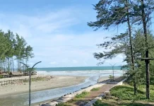 Optimalkan PAD Pariwisata, Pemprov Bengkulu Tertibkan HPL Pantai Panjang