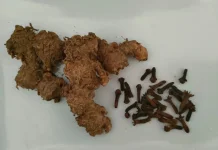 Berikut Obat Alami Turunkan Gula Darah