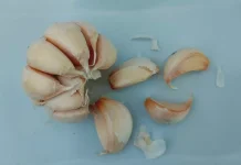 Beragam Manfaat Mengkonsumsi Bawang Putih