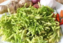Bunga Pepaya Miliki Beragam Manfaat