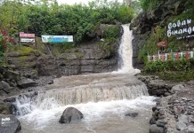 Bukan di Bali! ternyata Pandaan Punya Tempat Ngopi Tersembunyi di Balik Air Terjun!