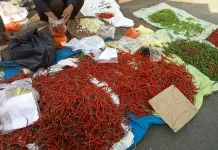 Harga Cabai Merah di Kota Bengkulu Stabil
