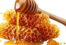 Cuaca Tak Menentu? Madu Jadi Andalan Tubuh