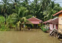 Banjir di Kota Bengkulu Belum Surut, Warga Mulai Mengungsi