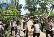 Kapolda Bengkulu Tinjau Sejumlah Lokasi Terdampak Cuaca Ekstrem
