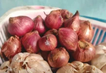 Harga Bawang Merah di Arga Makmur Rp.48.000,-/kg