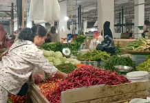 Harga Cabai di Arga Makmur Turun Drastis