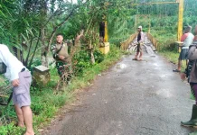 Jembatan Perintis Garuda, TNI dan Warga Sukarami Bersihkan Jembatan Gantung