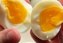 Manfaat Rutin Konsumsi Telur Setiap Hari Bagi Kesehatan