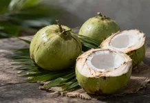 Cara Memilih Kelapa Muda Berkualitas