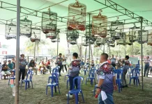 Kicau Mania Walikota Cup, Dongkrak Ekonomi Lokal