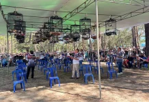 Suasana Lomba Burung Kicau yang Selalu Ramai Penonton