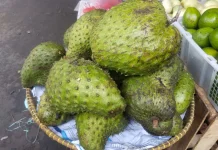 Buah Sirsak Miliki Manfaat Mencegah Penyakit Kanker