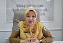 Pemprov Usulkan Gardu Induk Tais