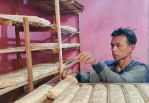 Harga Kedelai Naik, Produsen Tempe di Kota Bengkulu Tetap Produksi Normal