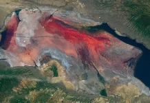 Ngeri! Danau di Tanzania Ini Bisa Mengubah Hewan Menjadi Batu