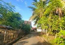 Ini Penyakit yang Rentan Terjadi pada Musim Kemarau