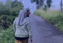 Jangan Spelekan Manfaat Jalan Kaki Pagi Hari