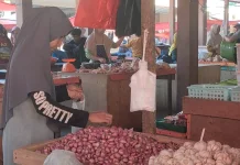 Harga Bawang Tak Kunjung Turun