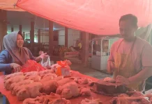 Harga Daging Ayam Potong Turun