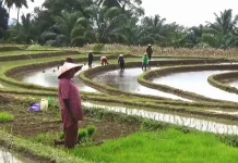 Kelompok Tani di Bengkulu Utara Dapat Bantuan Perbaikan Irigasi