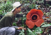 Utusan Presiden Akan Kunjungi Kawasan Wisata Kemumu