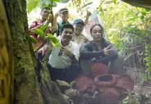 Kemumu Bengkulu Utara Diproyeksikan Menjadi Kawasan Konservasi Puspa langka