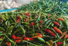 Harga Cabai Rawit Hijau Meroket