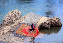 Perawatan Karpet Lantai Secara Rutin Penting untuk Menjaga Kebersihan dan Kenyam