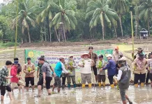 Dorong Swasembada Pangan, BRMP Bengkulu Kawal Gertam 50 Ribu Hektar Nasional