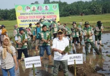 2,9 Ton Benih Padi dan Jagung di Bengkulu Belum Tersalurkan