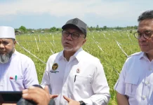 Zulhas Pastikan Alih fungsi Lahan Tak Terjadi, Irigasi Rusak Diperbaiki