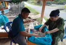 Musim Ikan Mungkus, Warga Ipuh Nikmati Kuliner Favorit