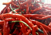jelang Iduladha Harga Cabai di Kota Bengkulu Naik
