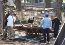 Pemkot Bengkulu Intensifkan Penataan Pantai Panjang, Turunkan Tim Gabungan