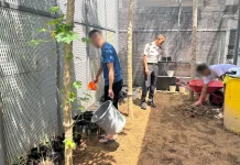 Klinik Rutan Bengkulu Kembangkan Toga bersama WBP