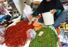 Jelang Iduladha Harga Cabai Merah Mahal