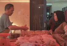 Harga Daging Ayam Potong Turun