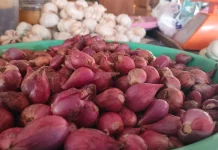 Harga Bawang Merah di Arga Makmur Rp47.000 Per Kilogram