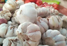 Harga Bawang Putih di Bintuhan Mulai Turun