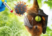 Mengenal Gejala Virus Nipah