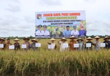 Panen Raya Sumber Makmur Perkuat Ketahanan Pangan Mukomuko