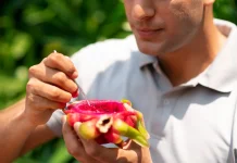 Rutin Konsumsi Buah Baik untuk Kesehatan